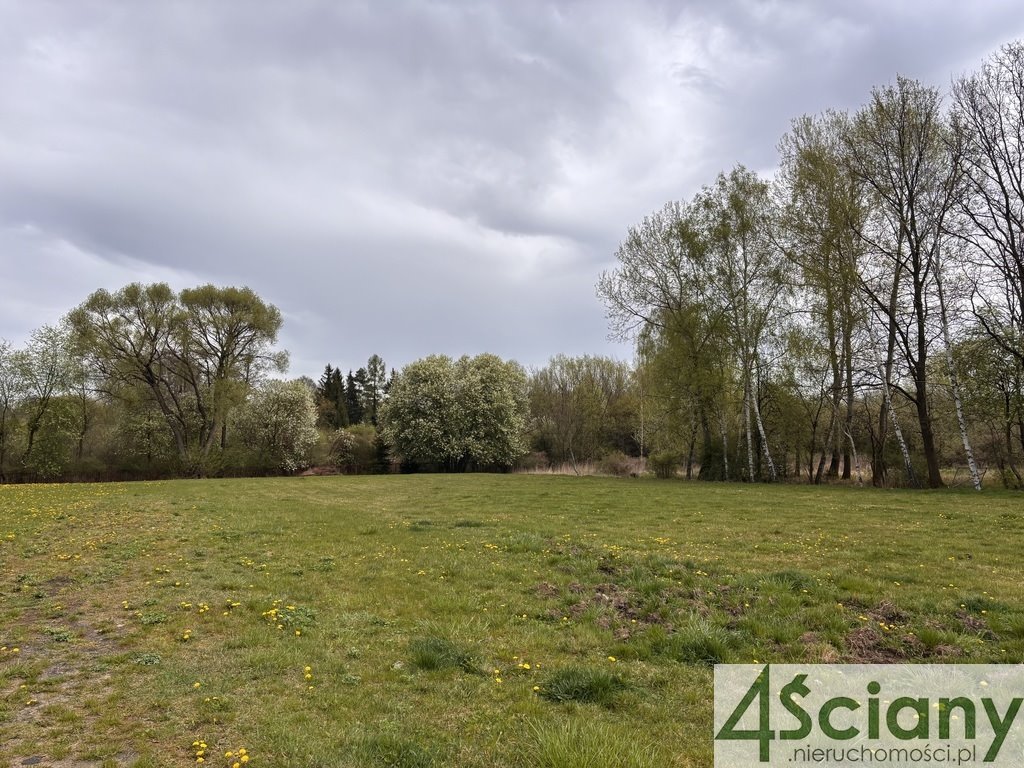 Działka budowlana na sprzedaż Żółwin  1 006m2 Foto 1