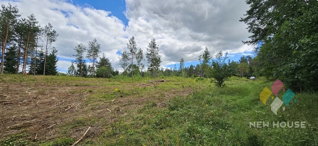 Działka budowlana na sprzedaż Dąbrówka Wielka  8 344m2 Foto 8