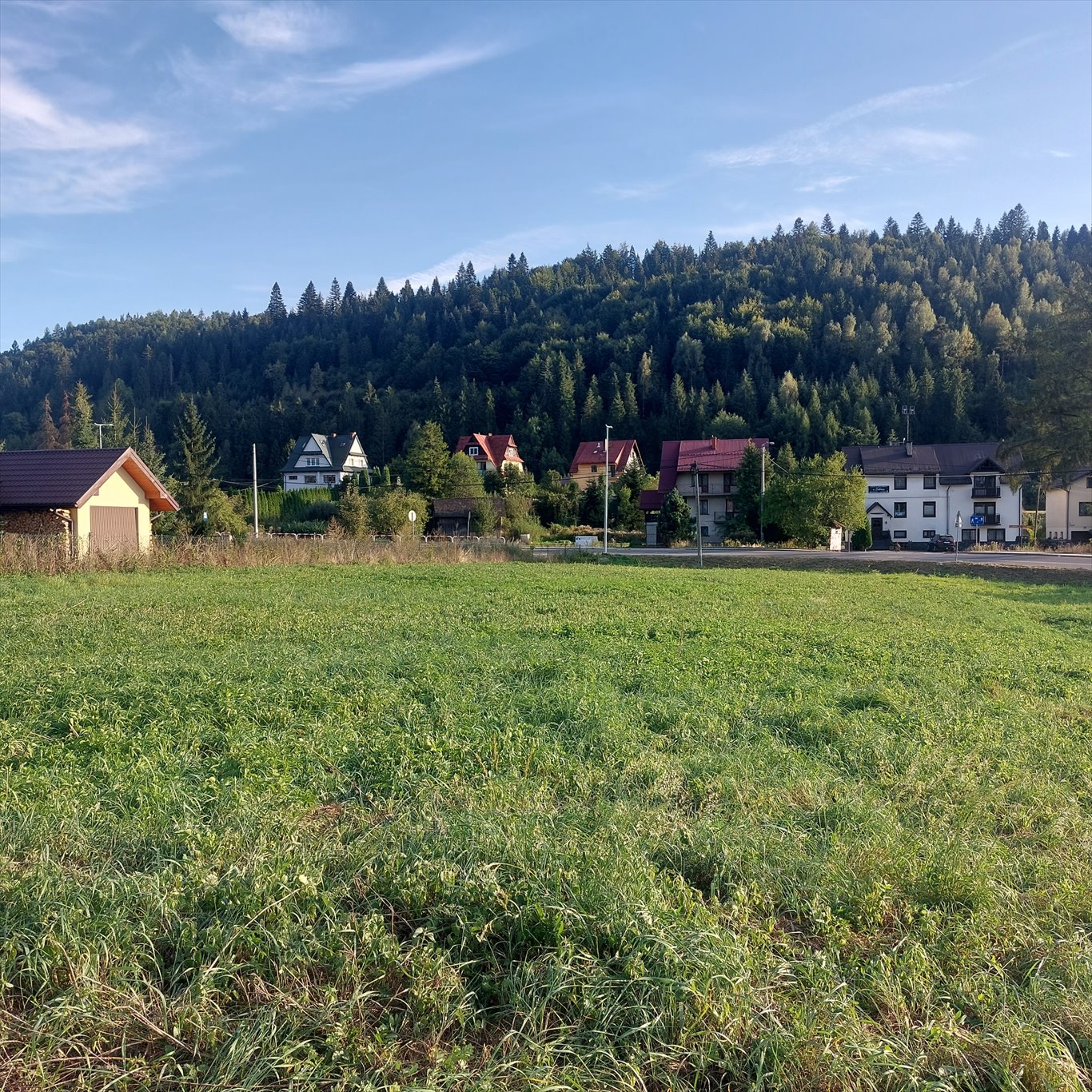 Działka budowlana na sprzedaż Szczawnica, Szlachtowa, Szlachtowa, Cieśliska  1 000m2 Foto 4