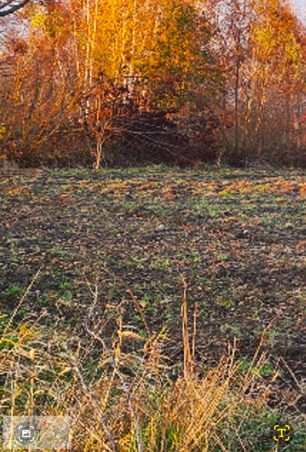 Działka budowlana na sprzedaż Feliksów  1 240m2 Foto 6