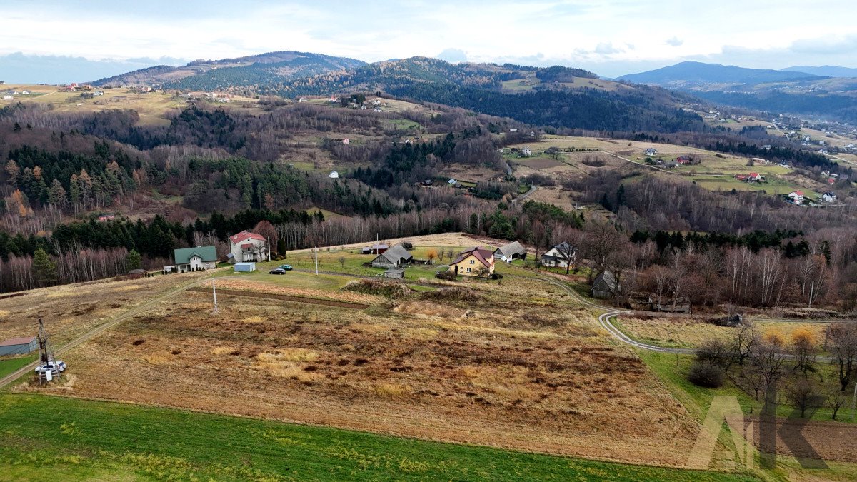 Działka budowlana na sprzedaż Paszyn  5 400m2 Foto 4