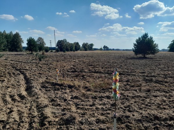 Działka siedliskowa na sprzedaż Guzew  1 100m2 Foto 3