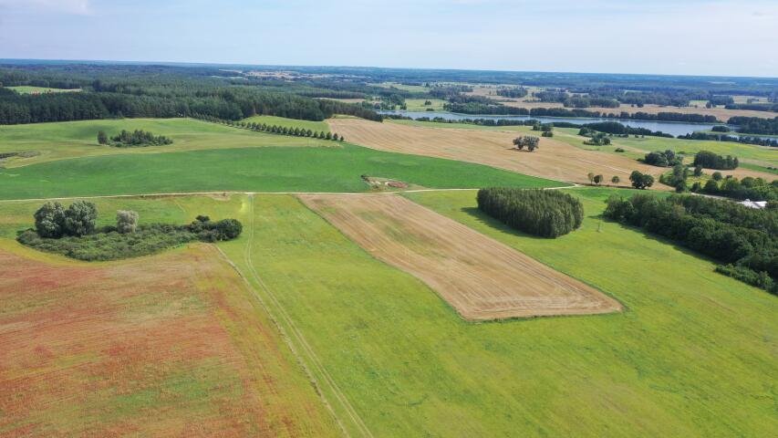 Działka budowlana na sprzedaż Orło  1 785m2 Foto 5