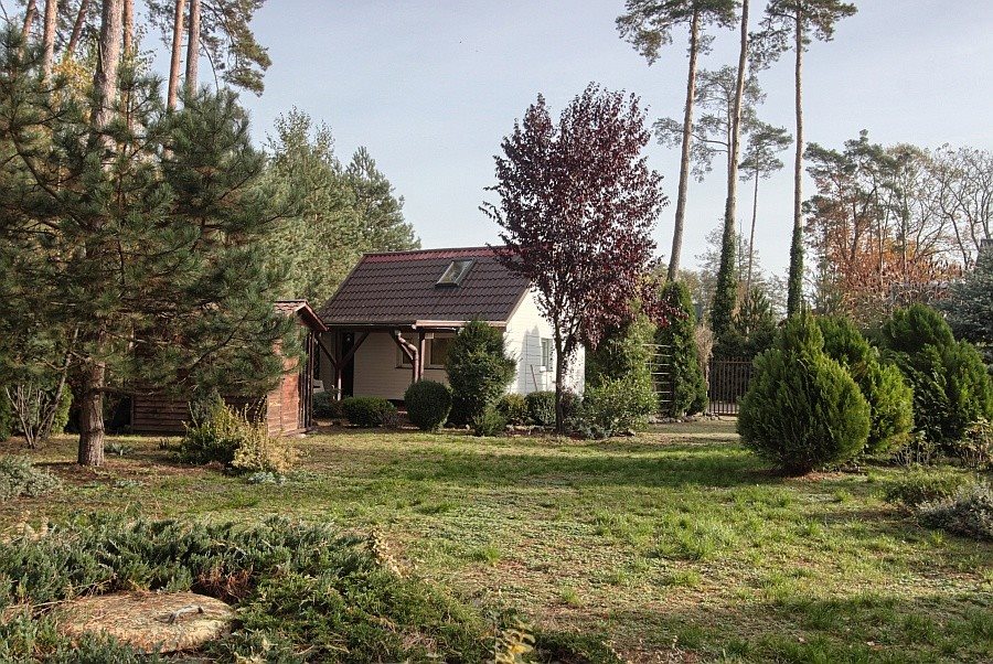 Dom na sprzedaż Morzyczyn 40m2 Foto 1 Dom na sprzedaż Morzyczyn 40m2 Foto 1