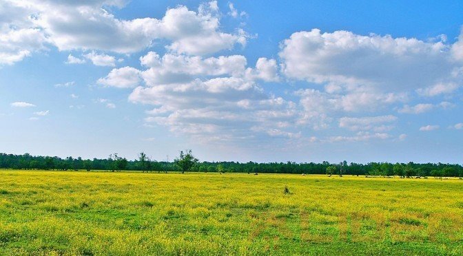 Działka inwestycyjna na sprzedaż Wasilków  4 774m2 Foto 1