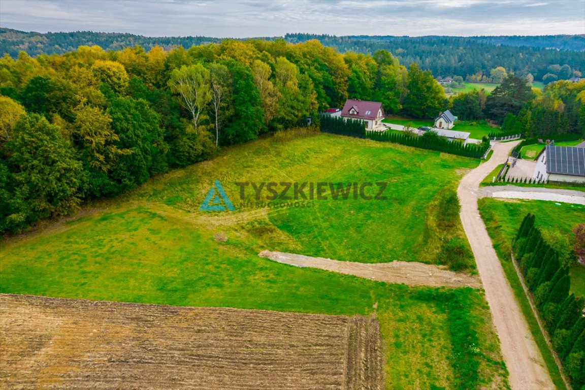 Działka rolna na sprzedaż Stara Huta  3 500m2 Foto 8