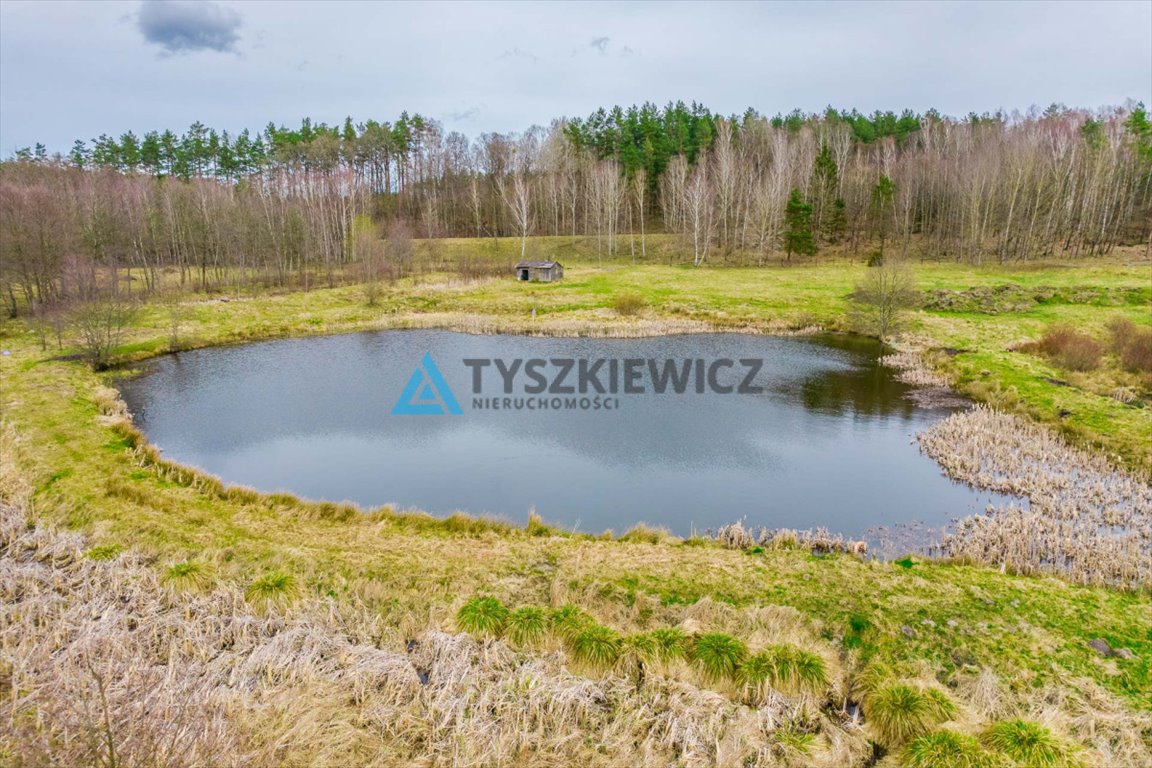 Działka rolna na sprzedaż Zielin  59 900m2 Foto 12