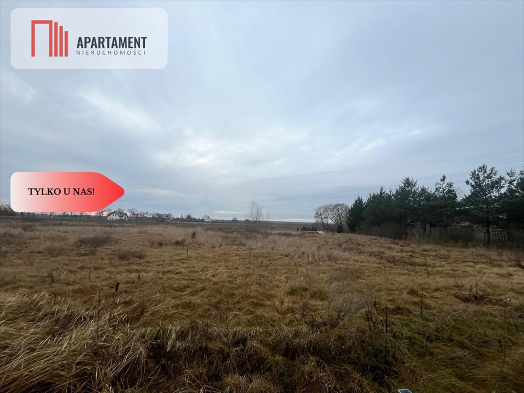 Działka budowlana na sprzedaż Olek  2 300m2 Foto 1