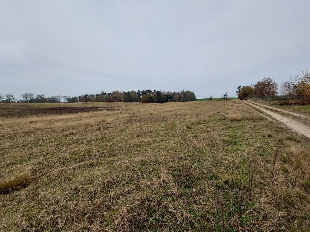 Działka budowlana na sprzedaż Izdebno  1 500m2 Foto 5