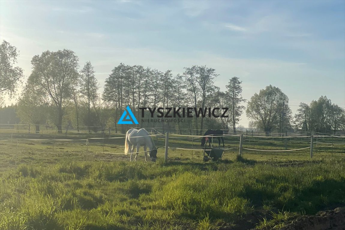 Działka siedliskowa na sprzedaż Przemysław  70 665m2 Foto 1