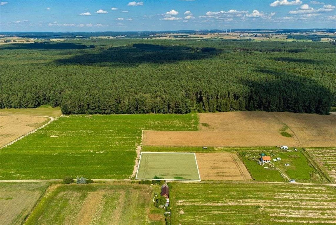 Działka budowlana na sprzedaż Dziarnówko  3 000m2 Foto 1