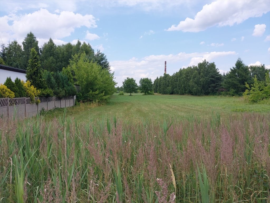 Działka inwestycyjna na sprzedaż Zduńska Wola  7 956m2 Foto 9