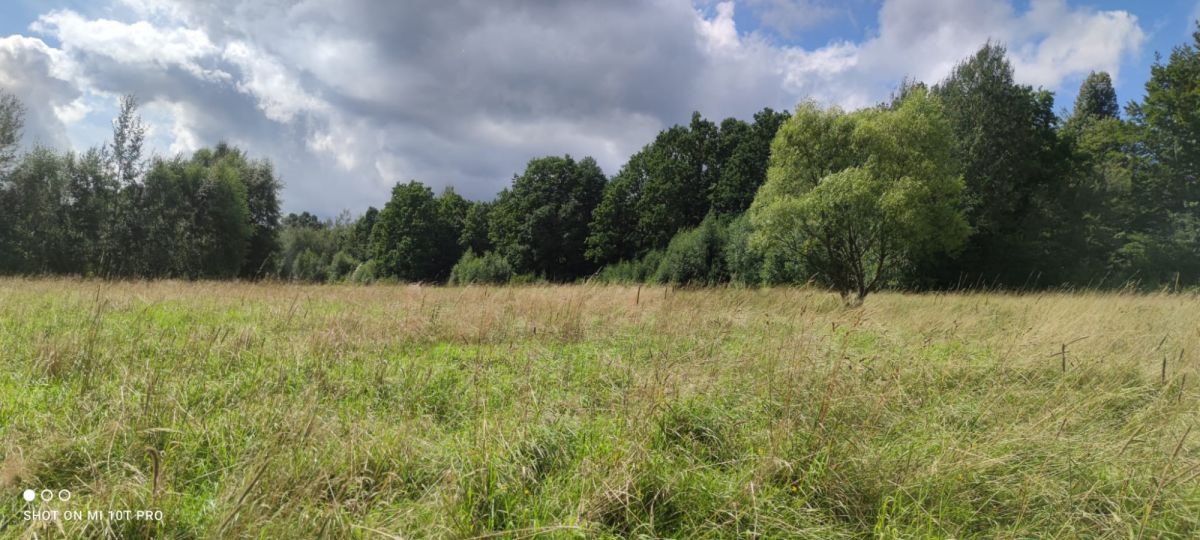 Działka 49 500 m² w Kromnowie – spokojna i słoneczna Kromnów  49 500m2 Foto 1