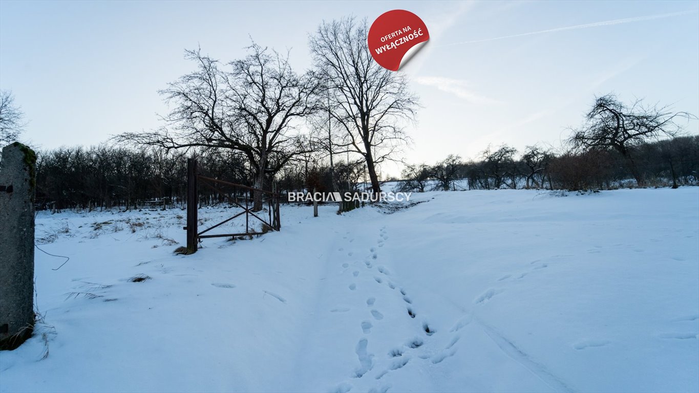 Działka budowlana na sprzedaż Czerna  3 600m2 Foto 18