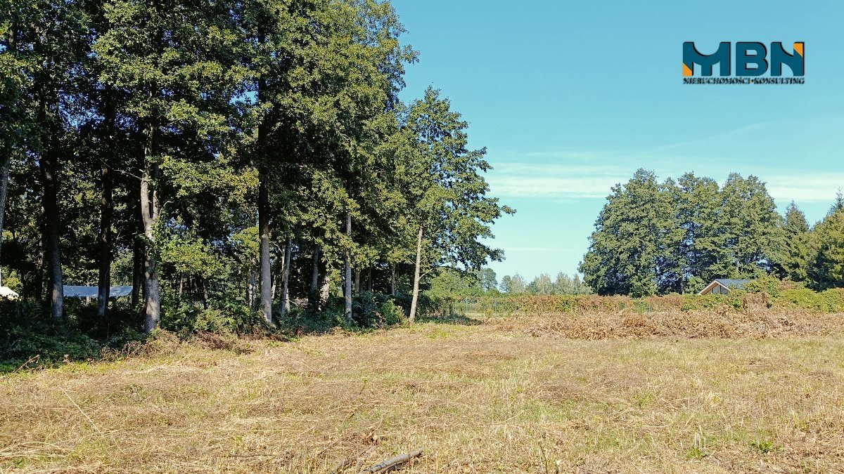 Działka budowlana na sprzedaż Pozezdrze, Harsz  3 766m2 Foto 19