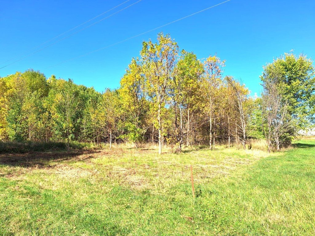 Działka budowlana na sprzedaż Firlej, Działkowa  1 501m2 Foto 4