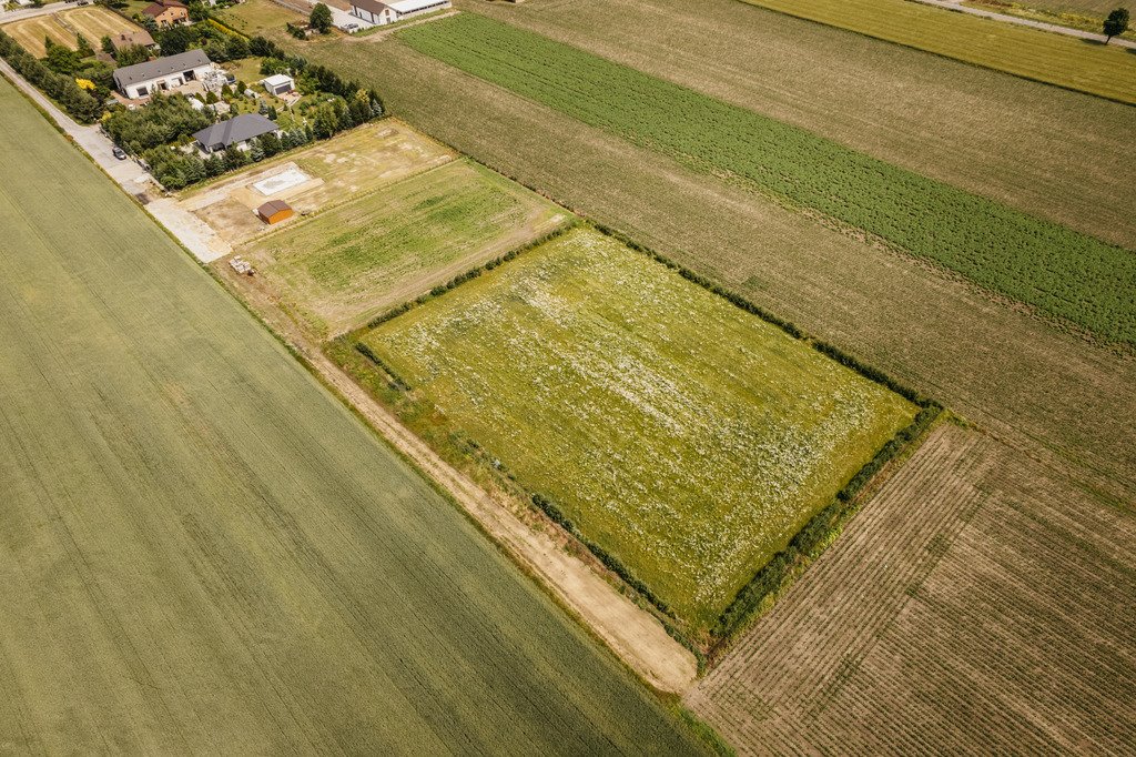 Działka 3000 m² z mediami, blisko Kalisza, gotowa do budowy Żelazków  3 000m2 Foto 1