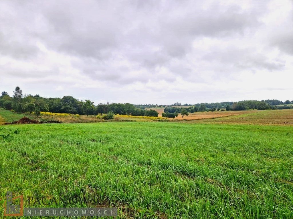 Działka inna na sprzedaż Smardzowice  3 000m2 Foto 1