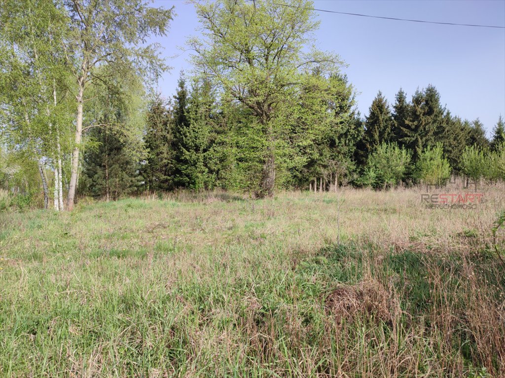 Duża działka budowlana 9500 m² w Opypach – potencjał inwestycyjny Opypy  9 514m2 Foto 1