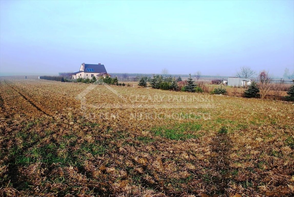 Działka budowlana na sprzedaż Dziuchów, Dziuchów  1 355m2 Foto 5