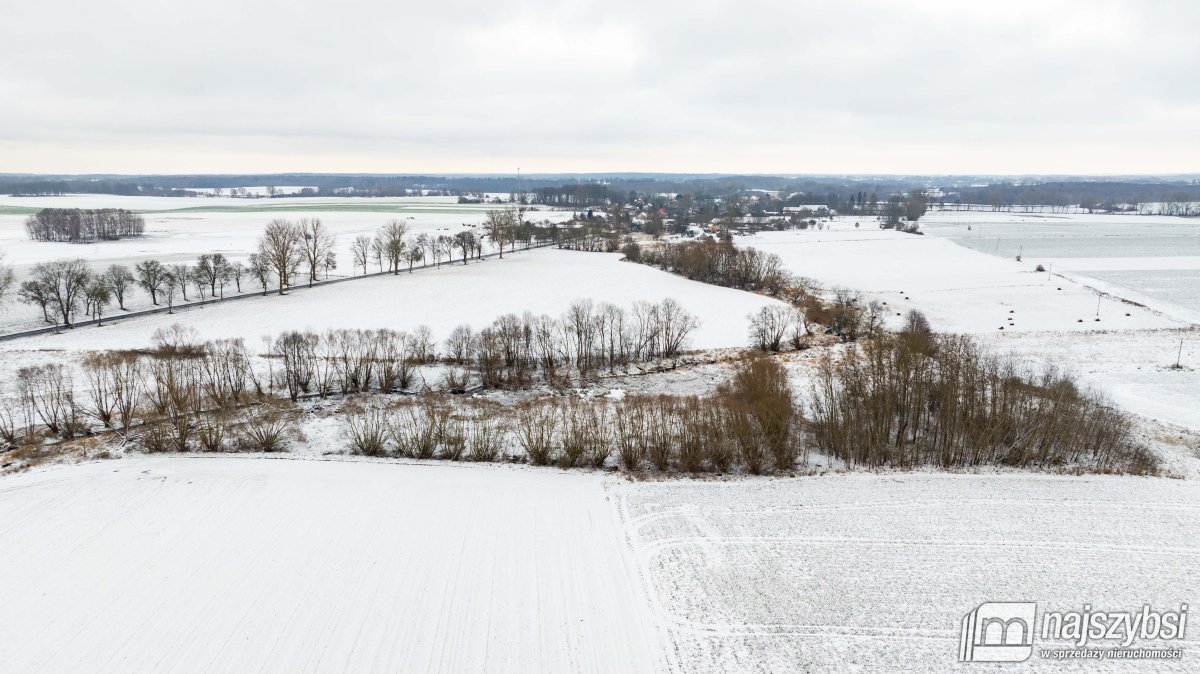 Działka rolna na sprzedaż Jenikowo  19 000m2 Foto 3