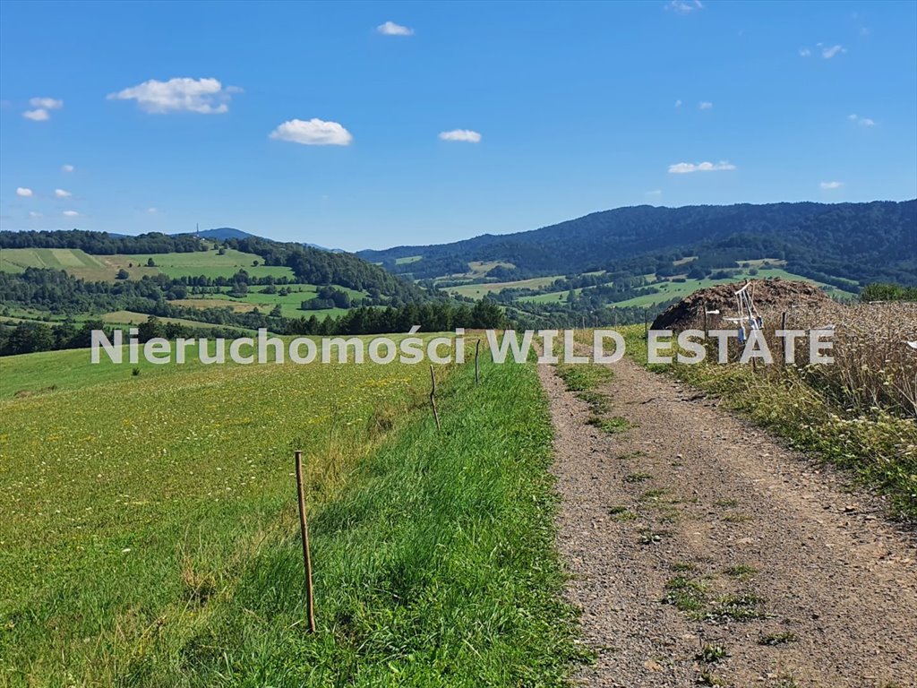 Działka rolna z panoramicznym widokiem 16 200 m² Baligród, Mchawa  16 200m2 Foto 1