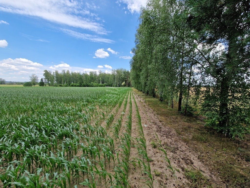 Działka rolna na sprzedaż Stelmachowo  39 700m2 Foto 19