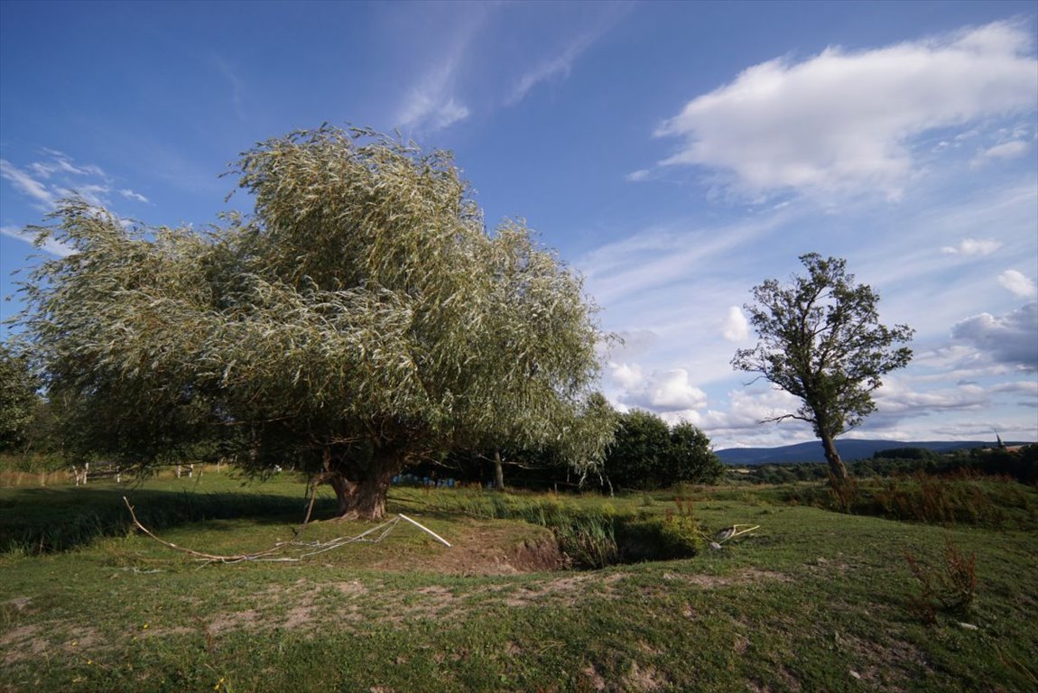 Dom na sprzedaż Świecie  256m2 Foto 9