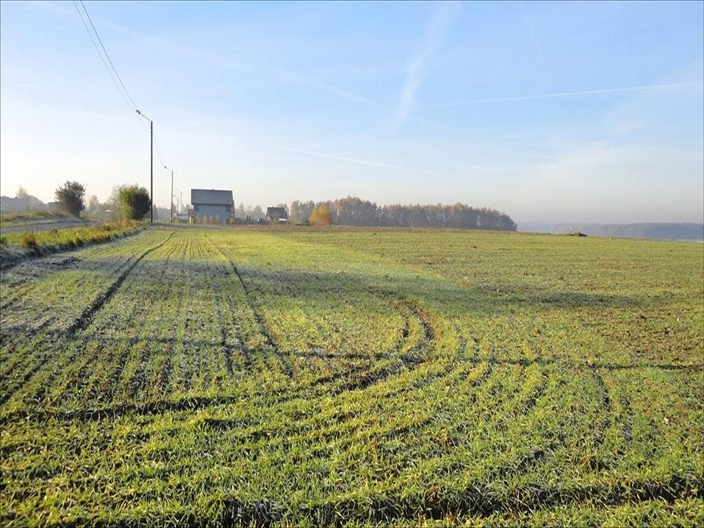 Działka inna na sprzedaż Golęczewo, Suchy Las 16 695m2 Foto 1 Działka inna na sprzedaż Golęczewo, Suchy Las 16 695m2 Foto 1