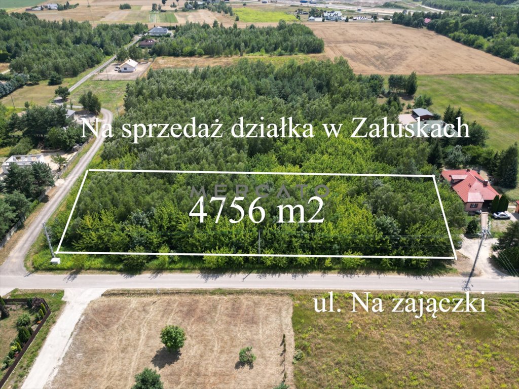 Działka budowlana na sprzedaż Załuski  4 756m2 Foto 1