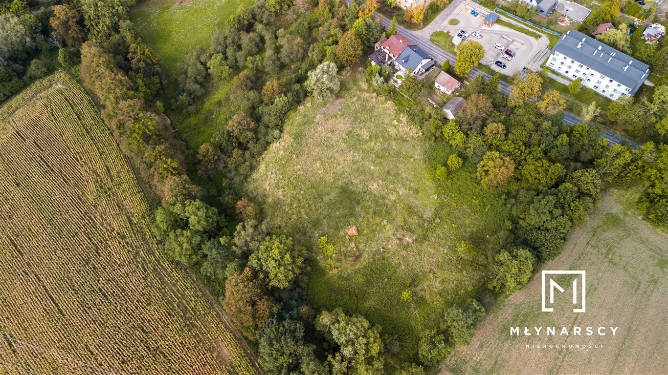 Działka rolna na sprzedaż CIESZYN, CIESZYN  12 243m2 Foto 14