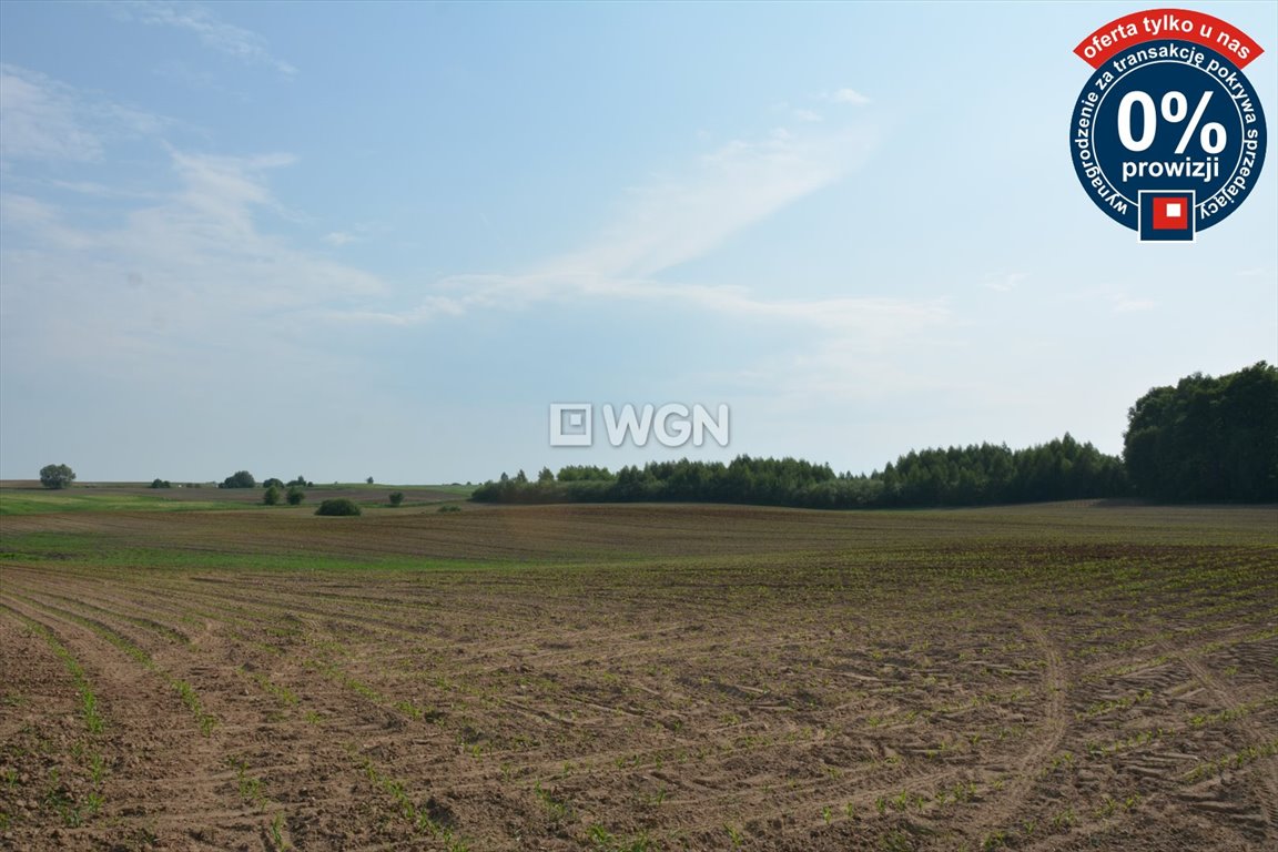 Działka budowlana na sprzedaż Koziki  1 400m2 Foto 15