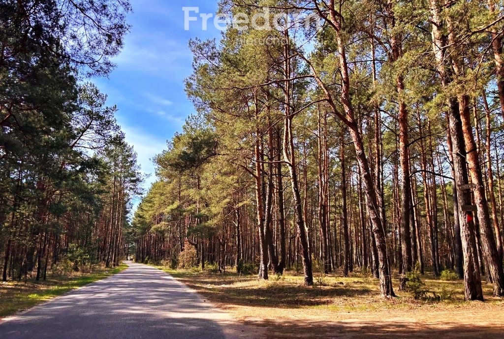 Działka 7906 m² z lasem i możliwością budowy - polecam Kalinowo  7 906m2 Foto 1