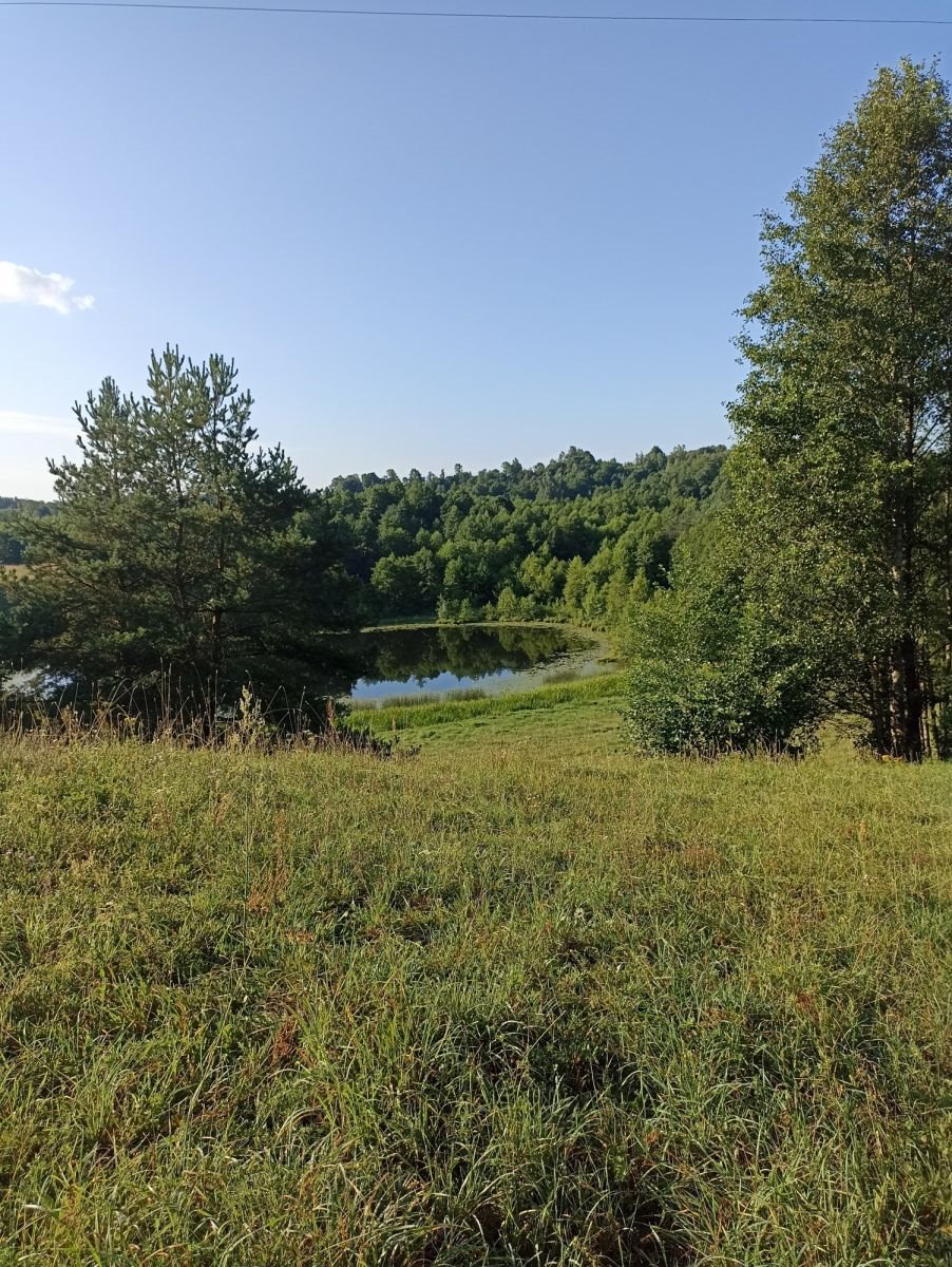 Działka gospodarstwo rolne na sprzedaż Udziejek  50 600m2 Foto 3