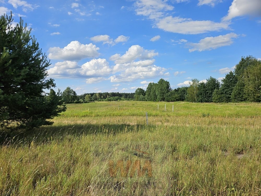 Działka budowlana na sprzedaż Sierzchów  1 006m2 Foto 5