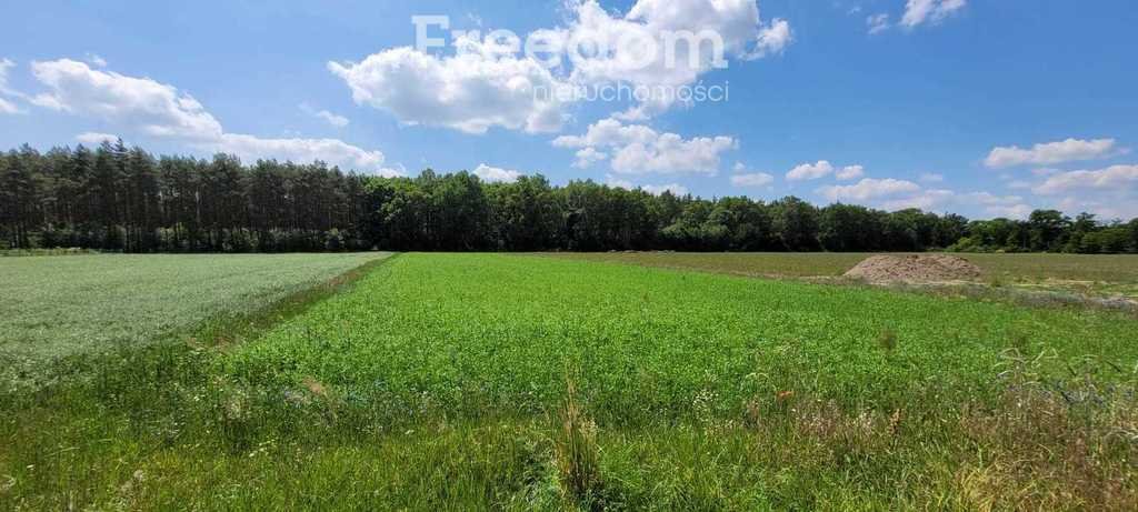 Działka budowlana na sprzedaż Masów  7 700m2 Foto 2