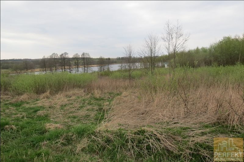 Działka rolna na sprzedaż Cerkiewnik, Cerkiewnik, Cerkiewnik 21 425m2 Foto 1 Działka rolna na sprzedaż Cerkiewnik, Cerkiewnik, Cerkiewnik 21 425m2 Foto 1