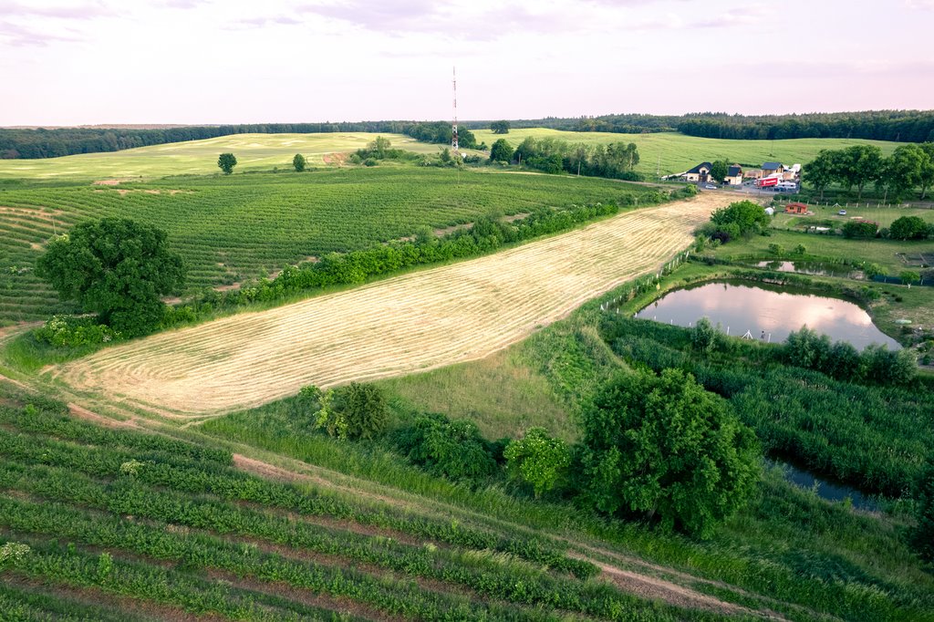 Działka rolna na sprzedaż Trzcińsko-Zdrój  7 926m2 Foto 5