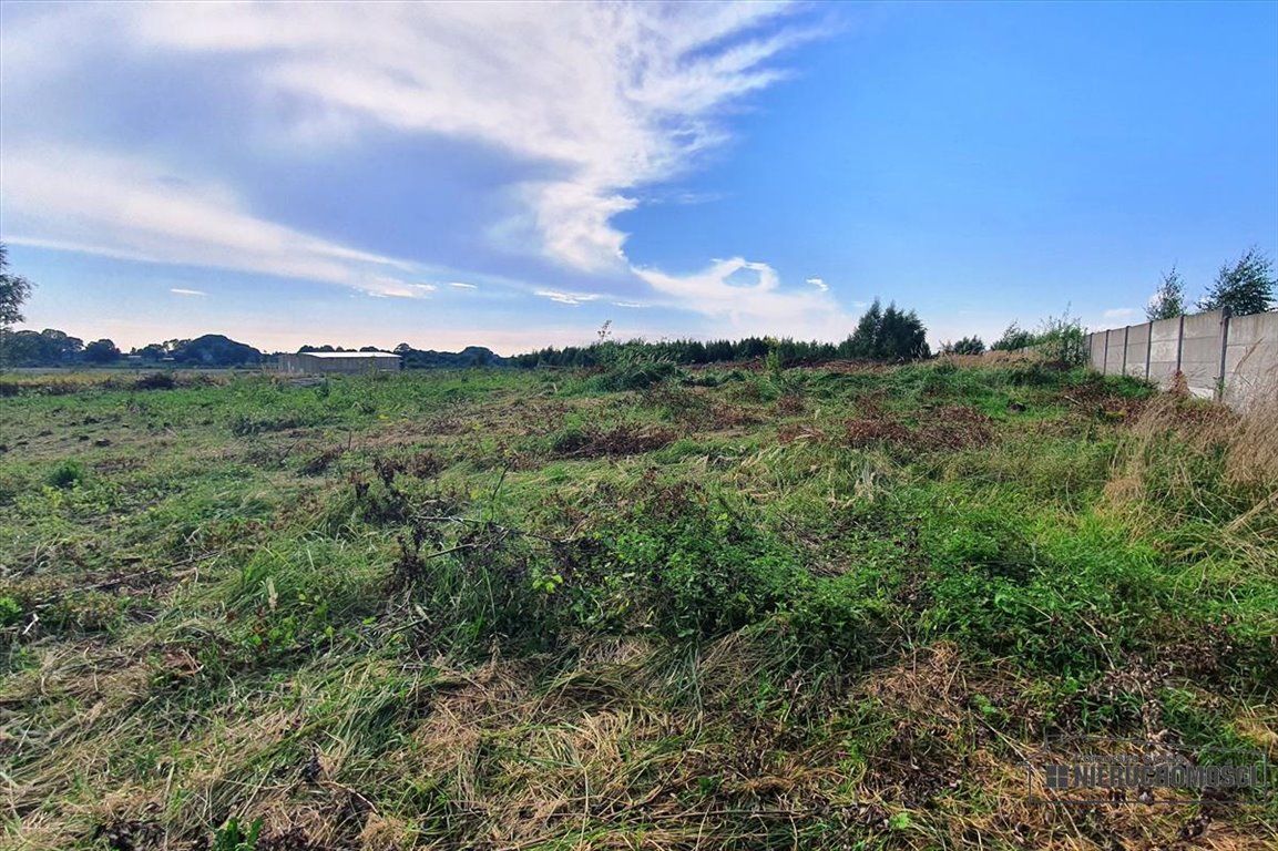 Działka budowlana na sprzedaż Szczecinek, Czwartaków  1 632m2 Foto 6