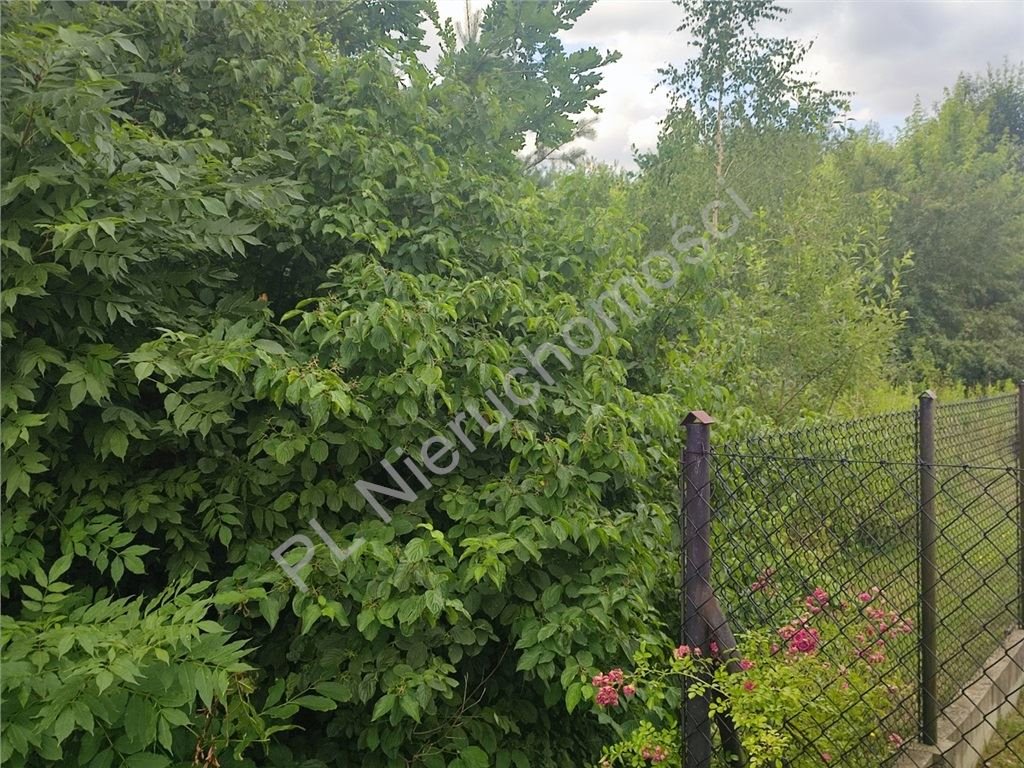 Polecam działkę 1500 m² z warunkami zabudowy w Kraśniczej Woli Kraśnicza Wola  1 500m2 Foto 1