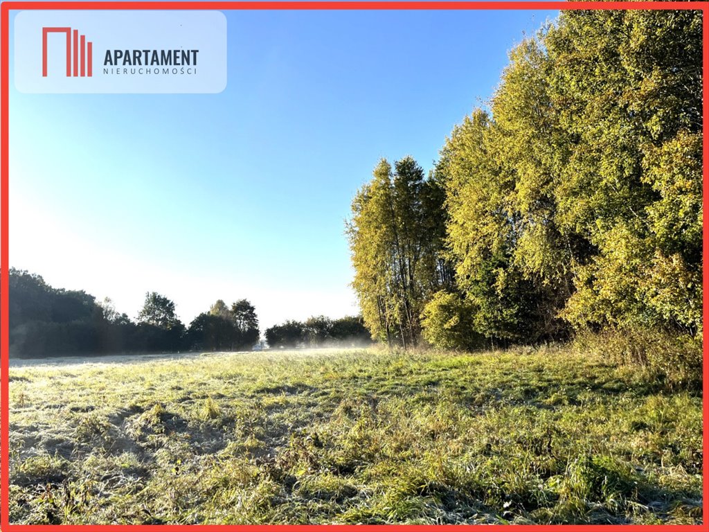 Działka gospodarstwo rolne na sprzedaż Dalewo  29 700m2 Foto 1