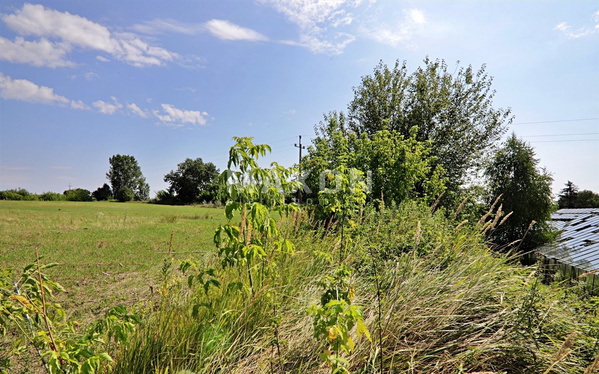 Działka budowlana na sprzedaż Zakroczym  49 316m2 Foto 18