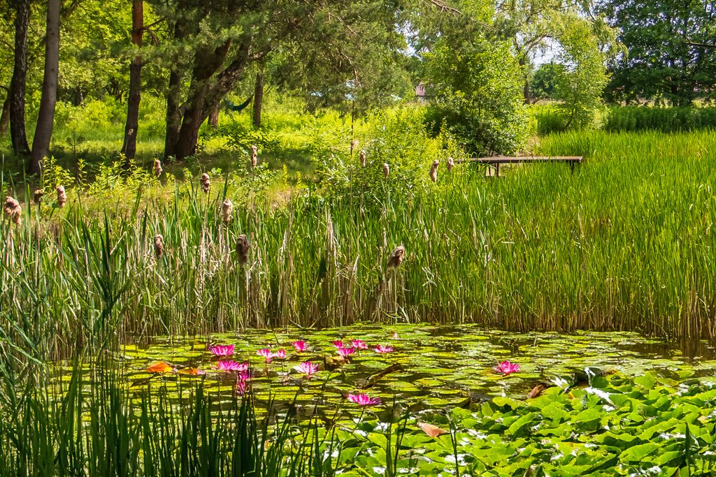 Dom na sprzedaż Celinów, Świerkowa  104m2 Foto 7