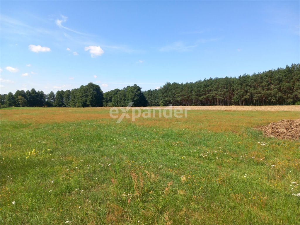 Działka 0,4 ha w Blinno – idealna pod inwestycję! Blinno  4 000m2 Foto 1