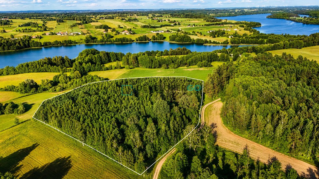 Duża działka 30 000 m² z prostokątnym kształtem polecam! Garbas Drugi  30 000m2 Foto 1