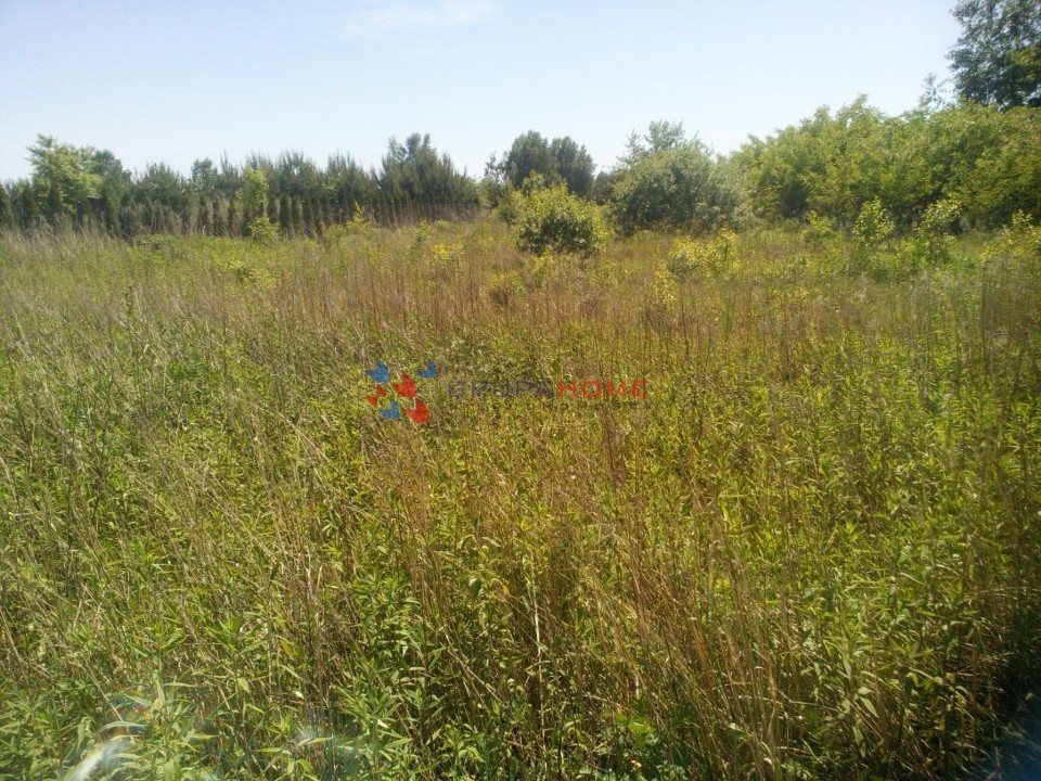 Działka budowlana na sprzedaż Walendów  1 000m2 Foto 2