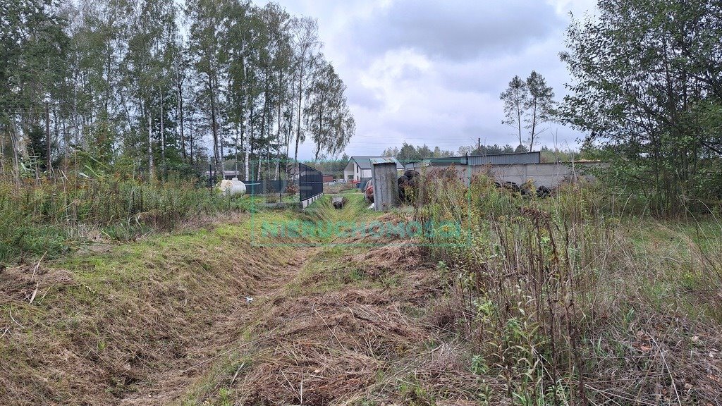 Działka budowlana na sprzedaż Bieganów  10 300m2 Foto 4