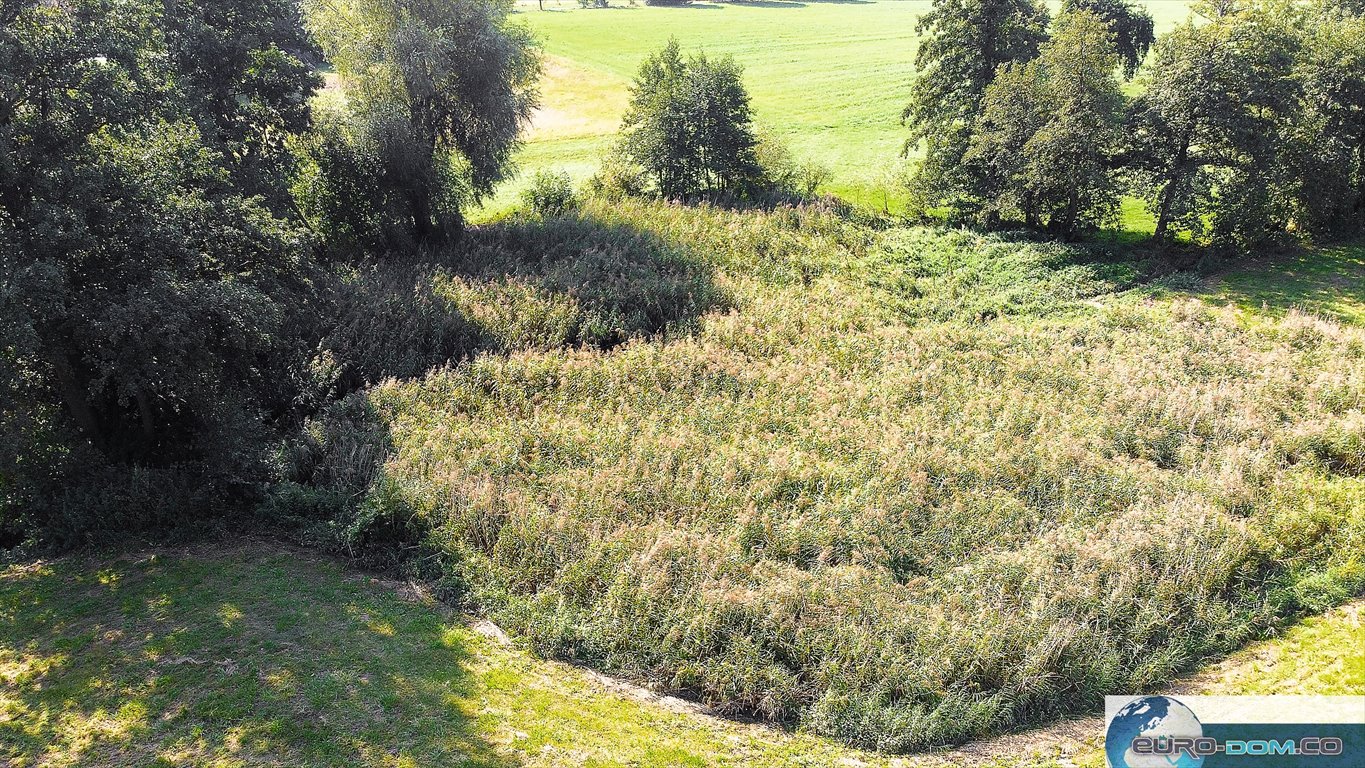 Działka budowlana na sprzedaż Borucin  15 658m2 Foto 8