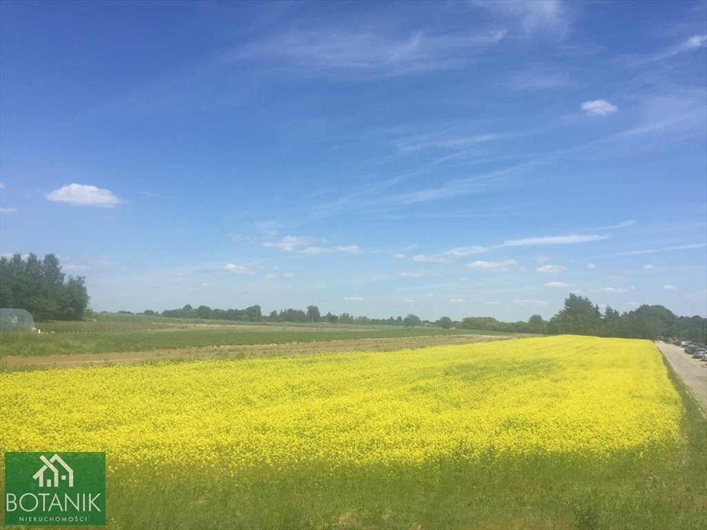 Działka budowlana na sprzedaż Snopków  1 800m2 Foto 1