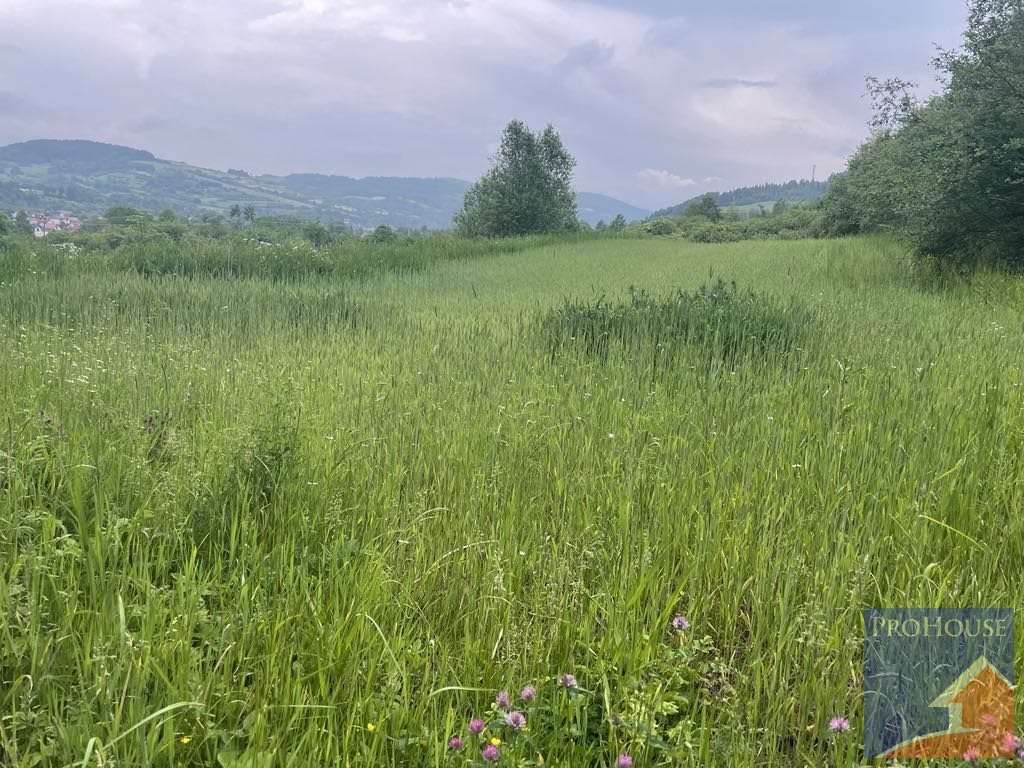 Działka rolna na sprzedaż Kamienica  2 000m2 Foto 3